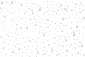 Realistic water drops vector