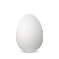 white single realistic animal egg. vector