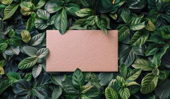 Square Paper Surrounded by Green Leaves photo