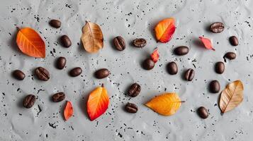 Group of Leaves and Seeds on White Surface photo
