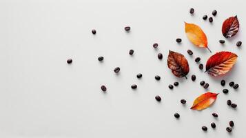 Group of Leaves and Seeds on White Surface photo