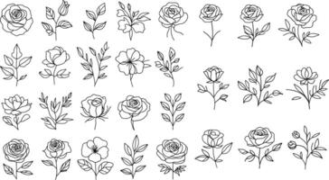 conjunto de flores colección de mano dibujado flores contorno rosas y hojas. vector