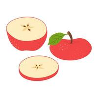 rojo jugoso manzana mano dibujado colocar. entero, medio, rebanada de Fresco rojo manzana fruta. colección de todo manzanas y rebanado manzanas de moda plano estilo aislado en blanco ilustración vector