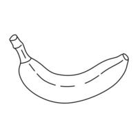 Banana line art icon. Hand drawn ripe banana Trendy doodle style. Tropical fruit, banana snack or vegetarian nutrition. Isolated on white illustration vector