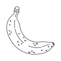 Banana line art icon. Hand drawn ripe banana Trendy doodle style. Tropical fruit, banana snack or vegetarian nutrition. Isolated on white illustration vector