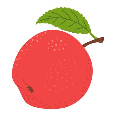 Red juicy ripe apple with green leaf. Hand drawn Red apple trendy flat style isolated on white. Apple harvest. Healthy vegetarian snack, cut apple for design, infographic illustration