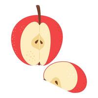 rojo manzana con manzana cuña dibujos animados colocar. cruzar sección de cortar manzana, rebanadas fruta, mano dibujado de moda plano estilo aislado en blanco ilustración vector