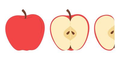 Red juicy apple hand drawn set. Whole, half, slice of fresh red apple fruit. Collection of whole apples and sliced apples. Trendy flat style isolated on white illustration vector