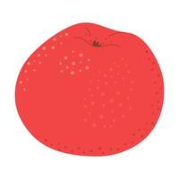rojo jugoso maduro manzana. mano dibujado rojo manzana de moda plano estilo aislado en blanco. manzana cosecha. sano vegetariano bocadillo, cortar manzana para diseño, infografía ilustración vector