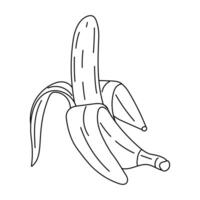 Doodle Banana icon. Hand drawn ripe peeled banana, trendy line art style fruit. Tropical fruit, banana snack or vegetarian nutrition. Isolated on white illustration vector