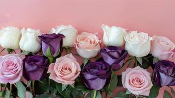 Vibrant Flowers on Pink Surface photo