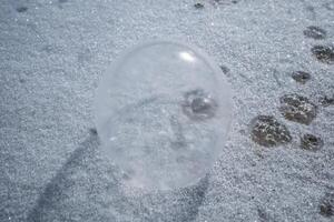 congelado burbuja en el suelo foto