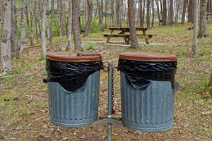 Garbage cans and picnic tables in a park photo