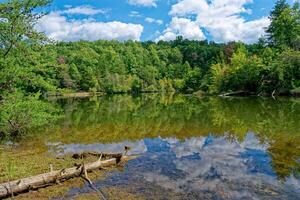 Reflections in the lake photo