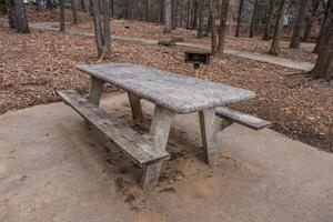 Picnic table and grill area photo