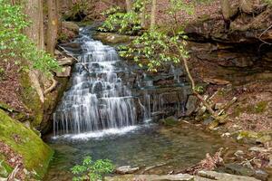 Big branch falls a waterfall in Tennessee photo