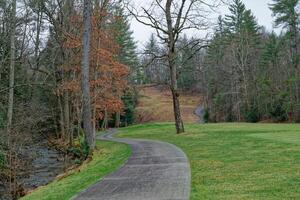 Winding path through the park photo