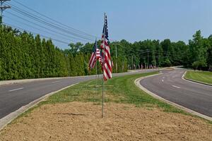 American flags down a street photo