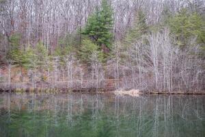 Reflection on the lake in wintertime photo