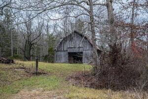 A barn in the woods photo