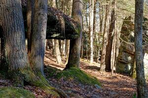 cantos rodados a lilly bluff sendero en Tennesse foto