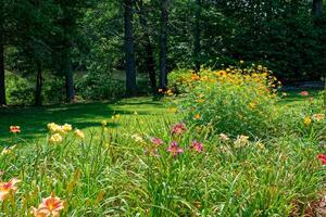 Garden full of blooming flowers photo