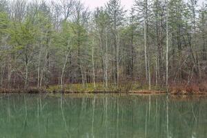 Reflections of bare trees on the lake photo