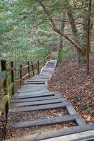 Stairs up a mountain trail photo