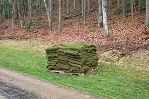 Sod on a pallet photo