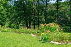 Backyard garden in full bloom photo