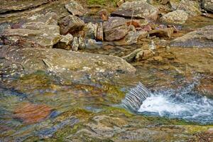 Water flowing over the rocks in a creek photo