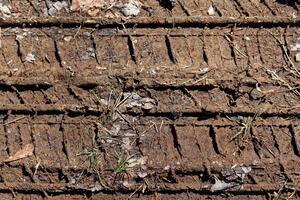 Tire tracks in the mud photo