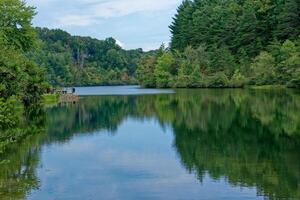 Changing colors at the lake photo