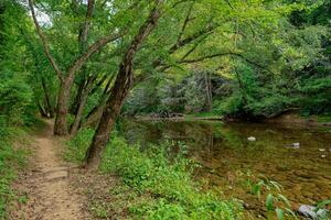 Trail along the creek photo