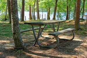 Picnic tables at the lake photo