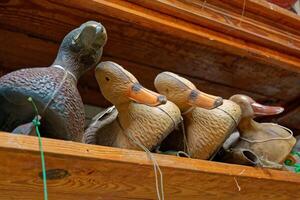 Duck decoys on a shelf photo