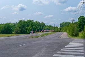 American flags lined up photo