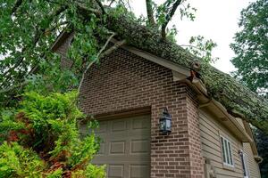 Tree fallen on top of house photo