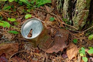 Old rusty can in the forest photo