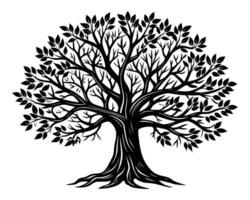 Tree with roots silhouette vector