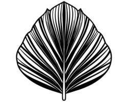 Palm leaf silhouette vector