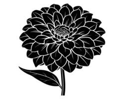 negro y blanco dalia flor vector