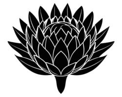 Black and white dahlia flower vector