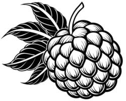 Raspberry design design vector