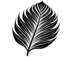 Palm leaf silhouette vector