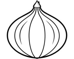 Onion isolated on white vector