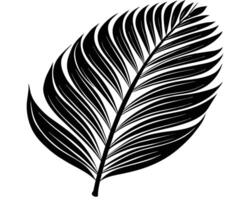 Palm leaf silhouette vector