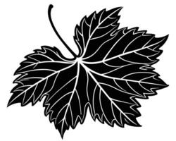 Silhouette of a leaf vector