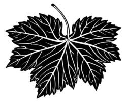 Silhouette of a leaf vector