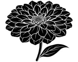 negro y blanco dalia flor vector